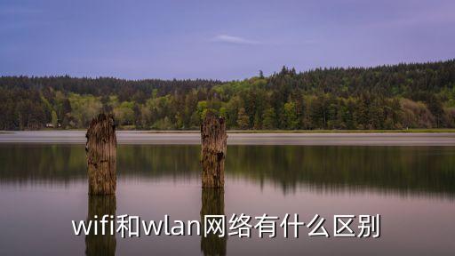 wlan和wifi的區(qū)別，wifi和wlan網(wǎng)絡有什么區(qū)別