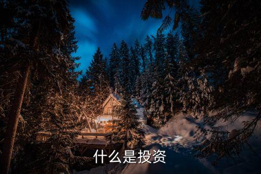 投資，投資是什么 投資的意思