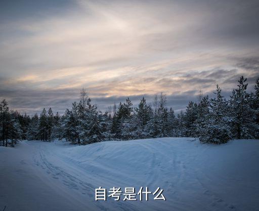 什么是自考，自考是什么
