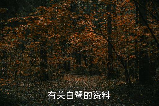 白鷺，白鷺的介紹資料