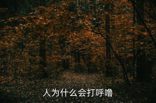為什么會打呼嚕，人睡覺為什么會打呼嚕