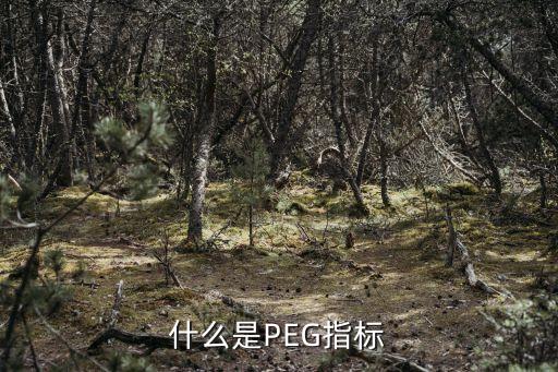 peg，什么是PEG指標(biāo)