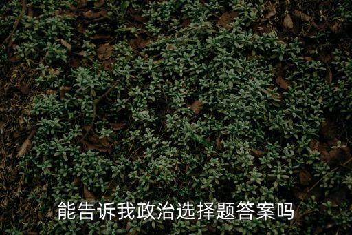 能告訴我政治選擇題答案嗎