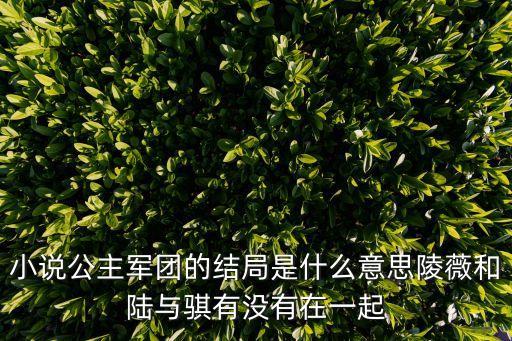 小說公主軍團的結局是什么意思陵薇和陸與騏有沒有在一起