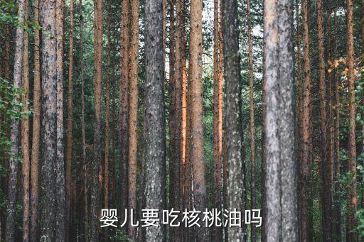 嬰兒核桃油，嬰兒要吃核桃油嗎