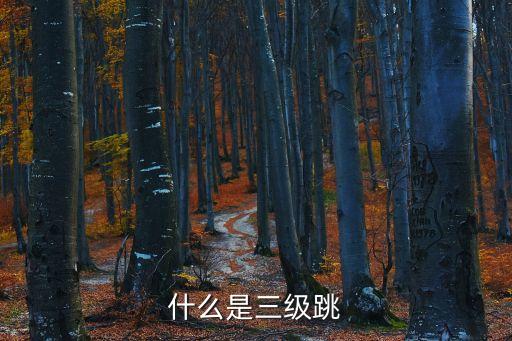 三級(jí)跳，什么是三級(jí)跳