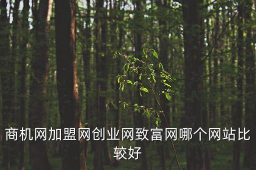 商機網加盟網創業網致富網哪個網站比較好