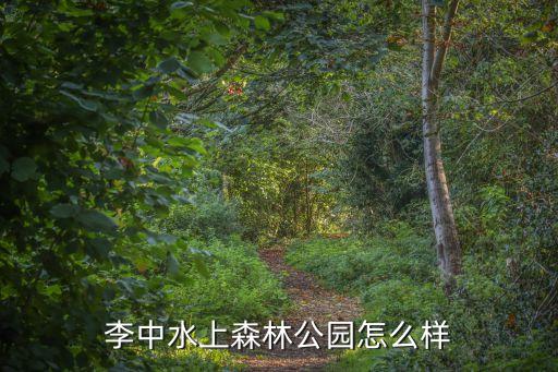 李中水上森林公園怎么樣