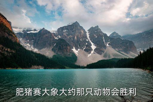 肥豬賽大象，肥豬賽大象大約那只動(dòng)物會(huì)勝利