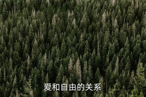 愛和自由，愛與自由三七分什么意思