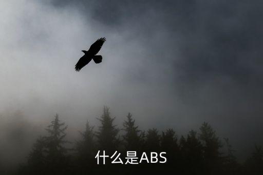 什么是ABS