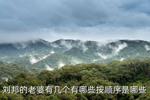 劉邦的夫人，歷史上劉邦的夫人是誰