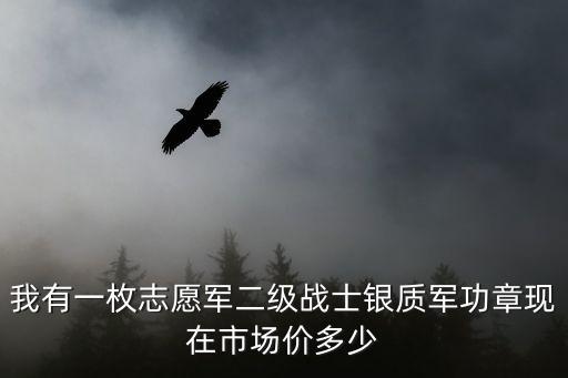 銀質紀念章，紀念銀章 有收藏價值嗎