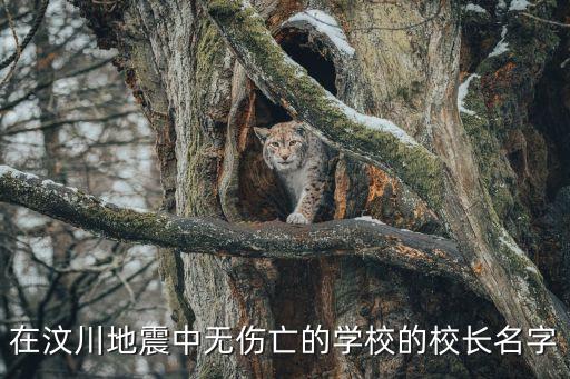 葉志平，汶川地震最牛校長葉志平怎么死的