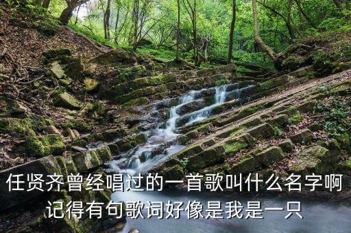任賢齊曾經唱過的一首歌叫什么名字啊記得有句歌詞好像是我是一只