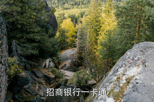 一卡通是什么，招商銀行一卡通