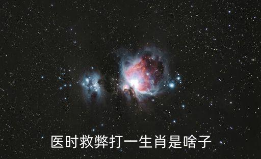 醫(yī)時救弊打一生肖是啥子
