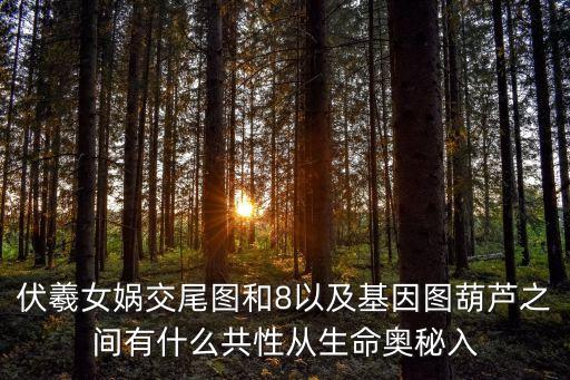 伏羲女媧交尾圖和8以及基因圖葫蘆之間有什么共性從生命奧秘入