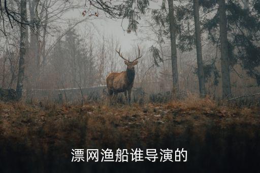 圍網漁船，拖網漁船的分類