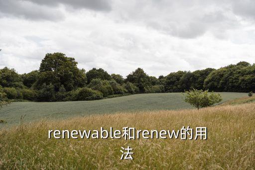 renewed，perfectrenew是什么意思