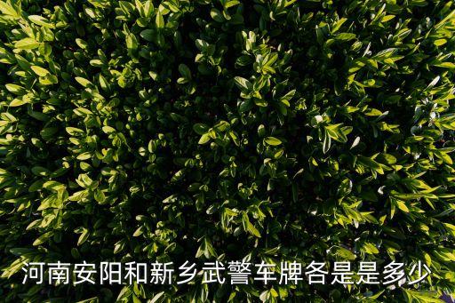 武警車牌，新舊武警車牌的區別