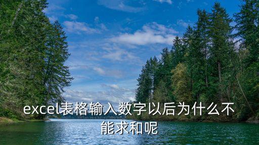 excel表格輸入數字以后為什么不能求和呢