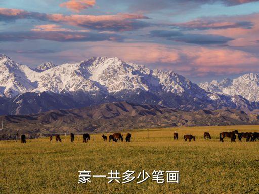 豪一共多少筆畫