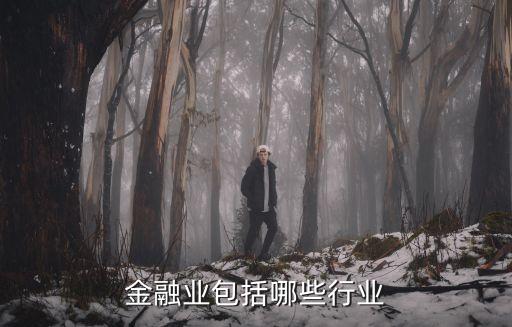 金融行業(yè)，金融行業(yè)有哪些