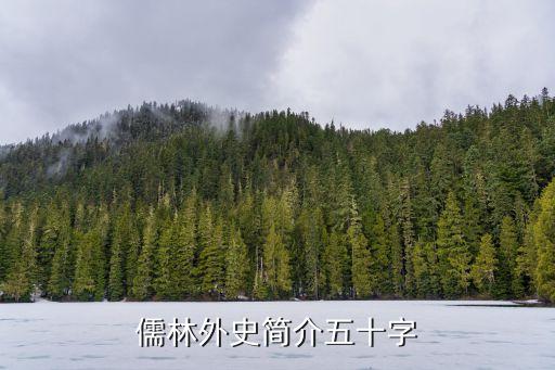 儒林外史介紹，亻需林外史的資料