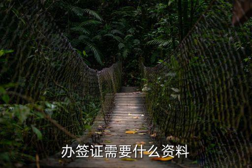 簽證材料，辦簽證需要什么資料