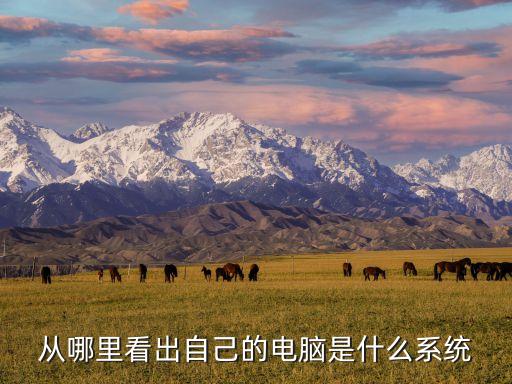 從哪里看出自己的電腦是什么系統