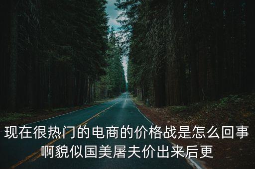 現(xiàn)在很熱門的電商的價格戰(zhàn)是怎么回事啊貌似國美屠夫價出來后更