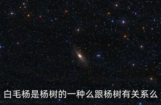 白毛楊是楊樹的一種么跟楊樹有關(guān)系么