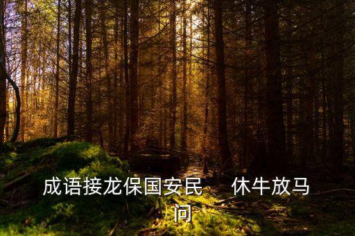 保國安民，四字成語保什么安什么