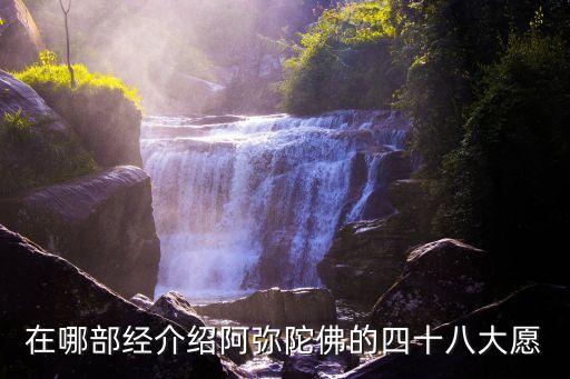 四十八愿，在哪部經介紹阿彌陀佛的四十八大愿