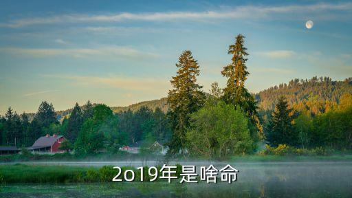2019年屬豬是什么命，2019年豬年是什么命
