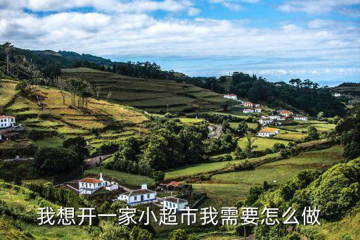 小型超市，開一間小型超市大約需要多少錢都需要那些東西