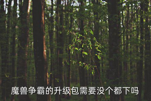 都下，魔獸爭(zhēng)霸的升級(jí)包需要沒(méi)個(gè)都下嗎