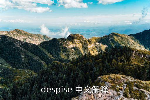 despise，despise怎么讀