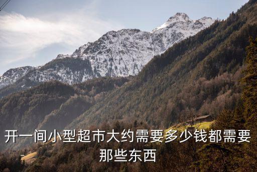 開一間小型超市大約需要多少錢都需要那些東西