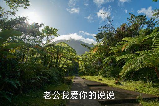 老公我好愛你，老公我愛你英語怎么寫