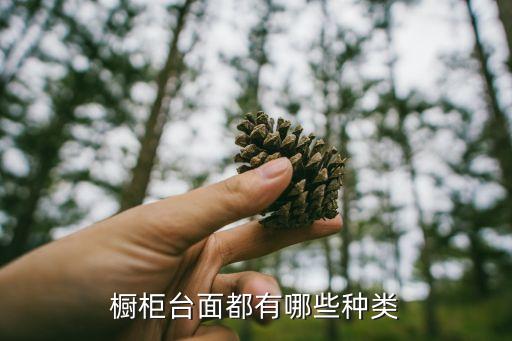 櫥柜臺面，整體櫥柜的臺面都有哪些那種最環保