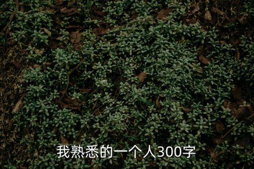 我熟悉的一個人300字