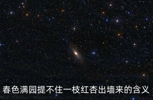 春色滿園提不住一枝紅杏出墻來的含義