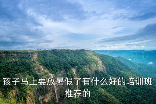 孩子馬上要放暑假了有什么好的培訓班推薦的