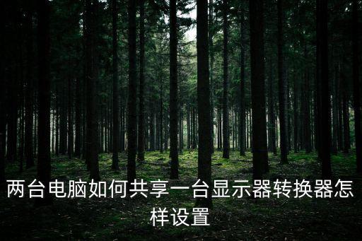 兩臺電腦如何共享一臺顯示器轉(zhuǎn)換器怎樣設置