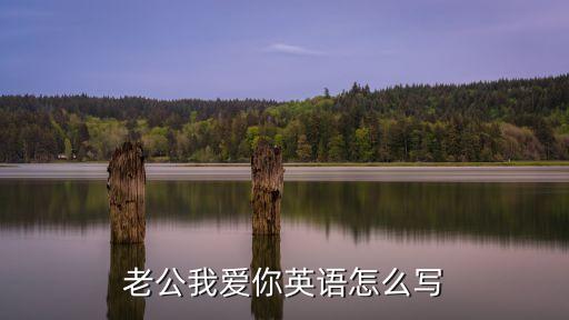 老公我愛(ài)你英語(yǔ)怎么寫(xiě)