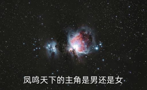 鳳鳴天下的主角是男還是女