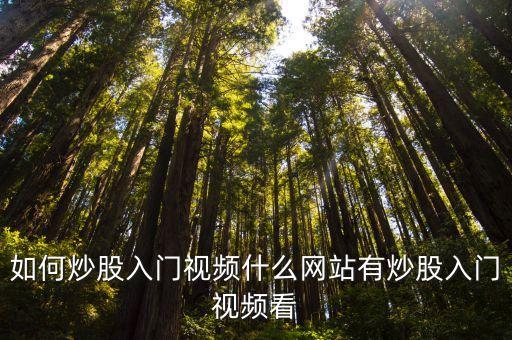 如何炒股入門視頻什么網站有炒股入門視頻看