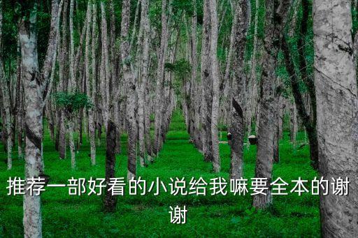 推薦一部好看的小說給我嘛要全本的謝謝
